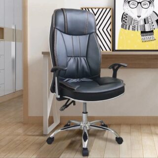 Carina Ergonomic Leather Executive office chair